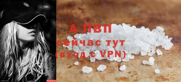 гашик Сатка