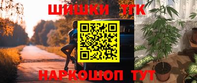 индика Донецк