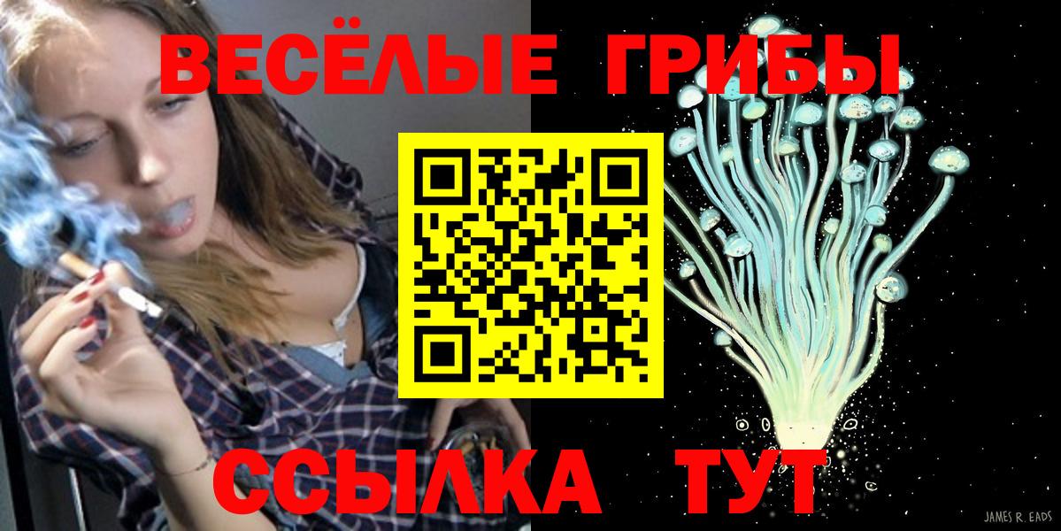 Псилоцибиновые грибы ЛСД Волхов