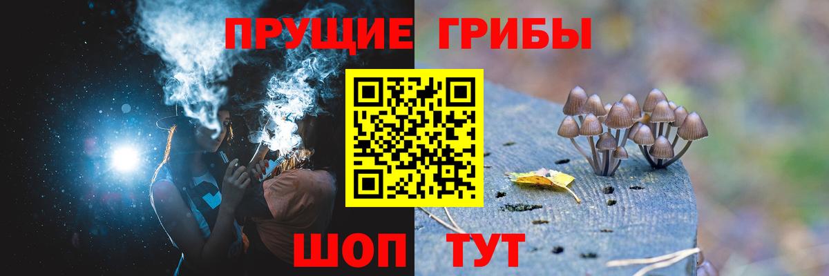 Галлюциногенные грибы MAGIC MUSHROOMS  Вход с VPN  Волхов 